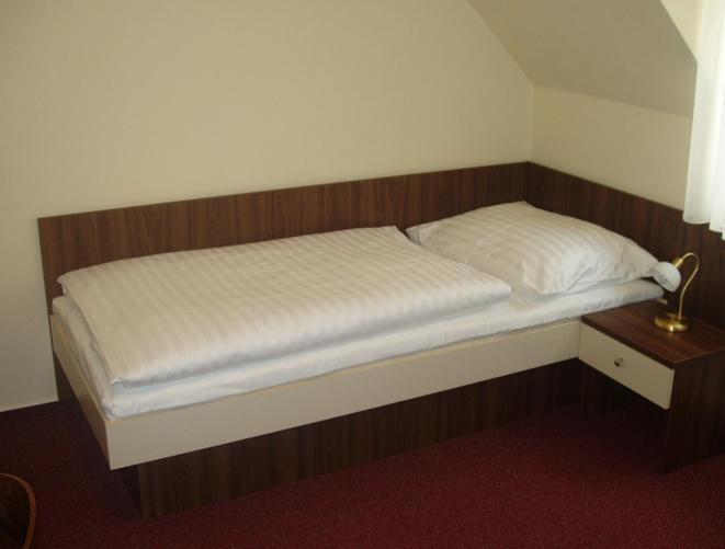 Hotel Altenberg Stare Hory Room photo