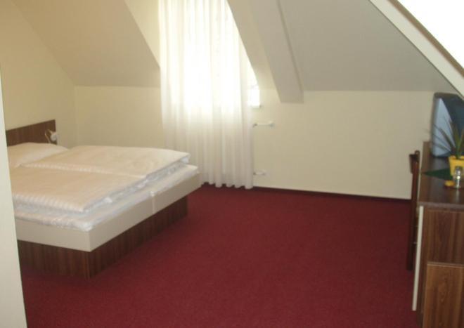 Hotel Altenberg Stare Hory Room photo